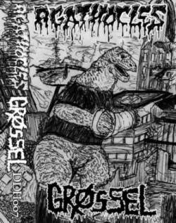 Agathocles : Agathocles & Grossel